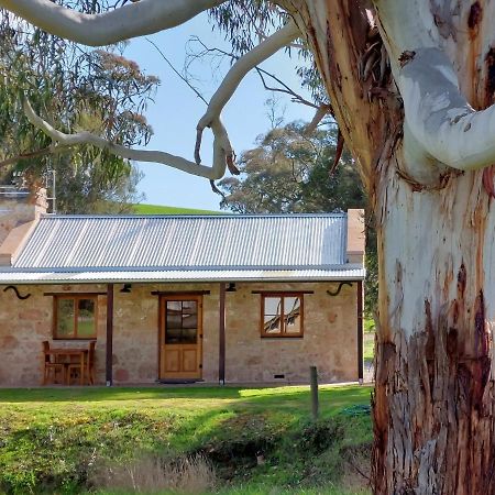 Bed and Breakfast Bungaree Station Экстерьер фото