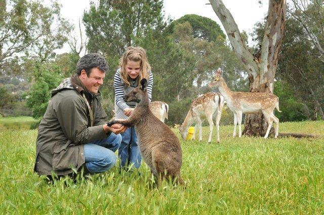 Bed and Breakfast Bungaree Station Экстерьер фото